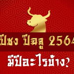 ปีชง ปีฉลู 2564 มีปีอะไรบ้าง