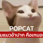POPCAT เกมแมวอ้าปาก คืออะไร