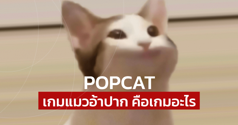POPCAT เกมแมวอ้าปาก คืออะไร, POPCAT, เล่นเกม POPCAT, เกมป๊อบแคท