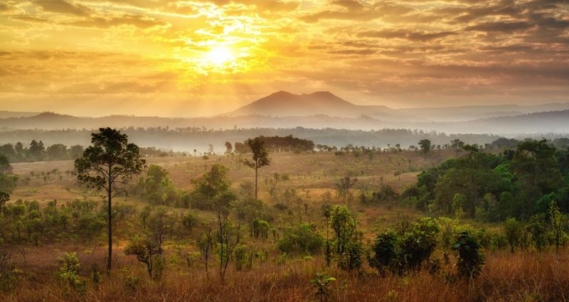 ที่เที่ยวทุ่งแสลงหลวง